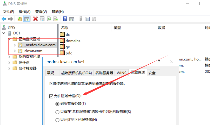 image-20240325144826253